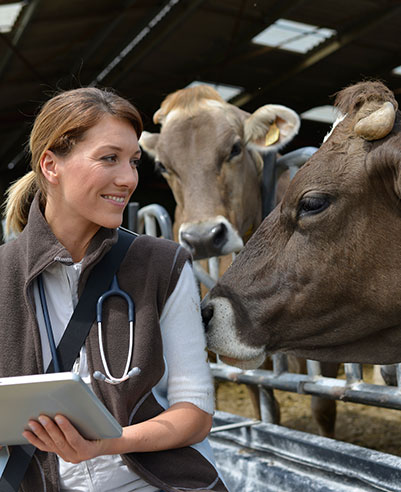 Evaluating Beef Checkoff Programs 4