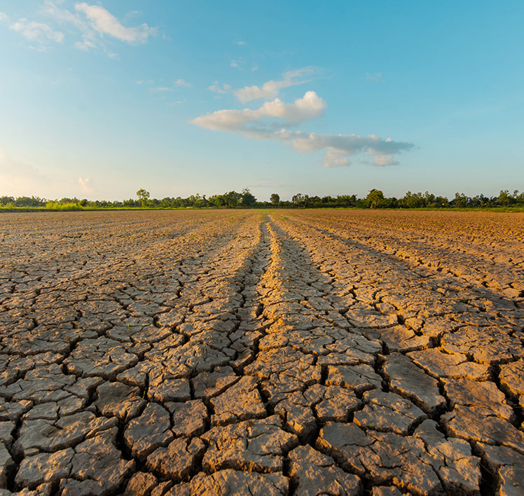 Evaluating the Prevented Planting Program 5